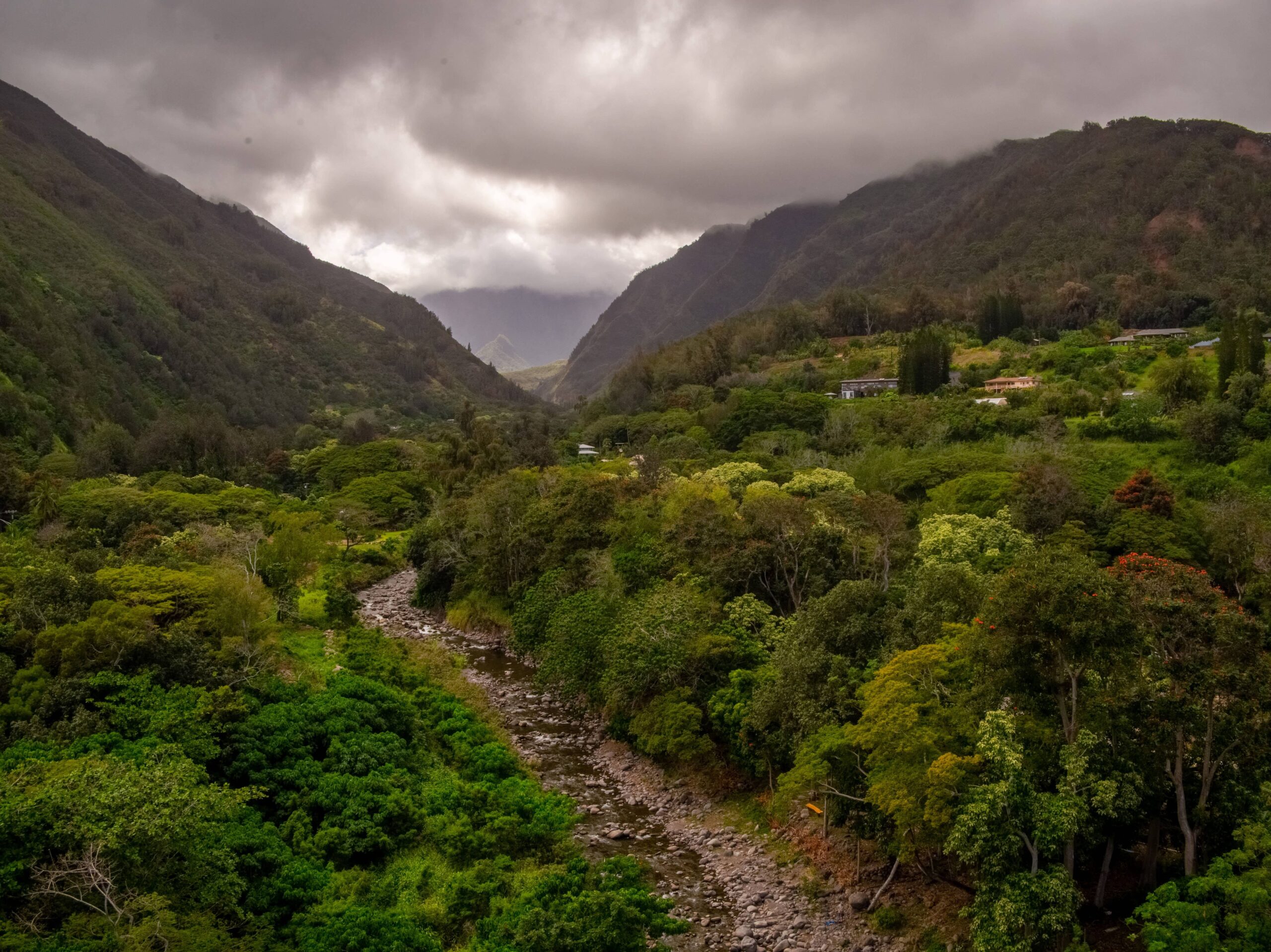 Nestled in Iao Valley on Maui