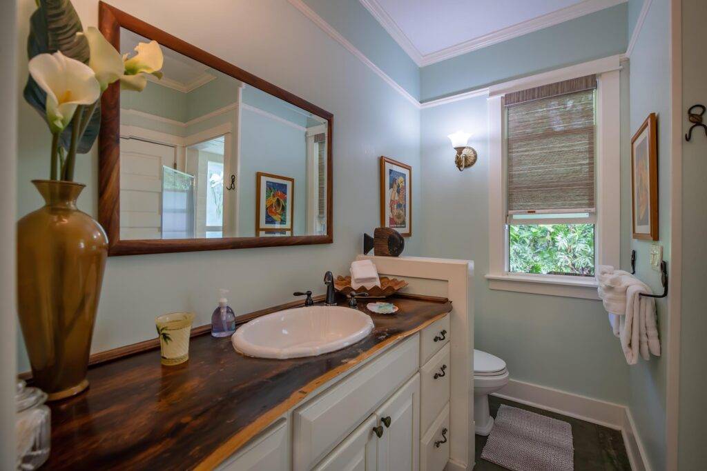 Cottage bathroom, vanity and toilet