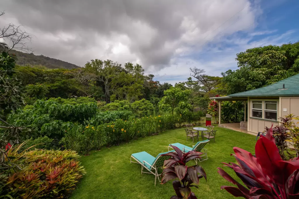 Cottage lawn with chaise recliners