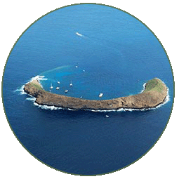 An Image of Molokini crater