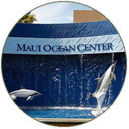 Maui Ocean Center